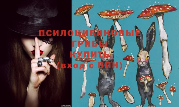 амф Абдулино