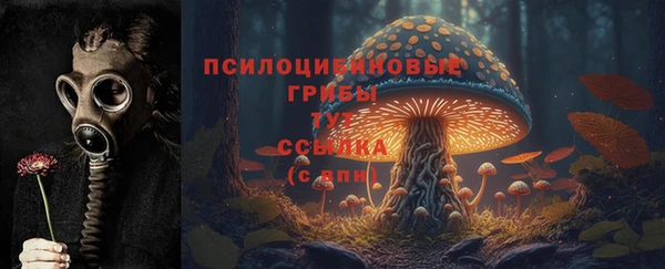 амф Абдулино